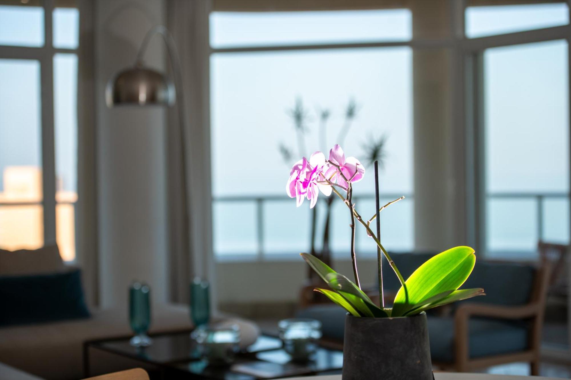 801 Oyster Schelles - By Stay In Umhlanga Дурбан Екстер'єр фото